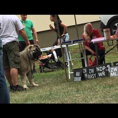 NDS KALISZ'18 - BALDUR